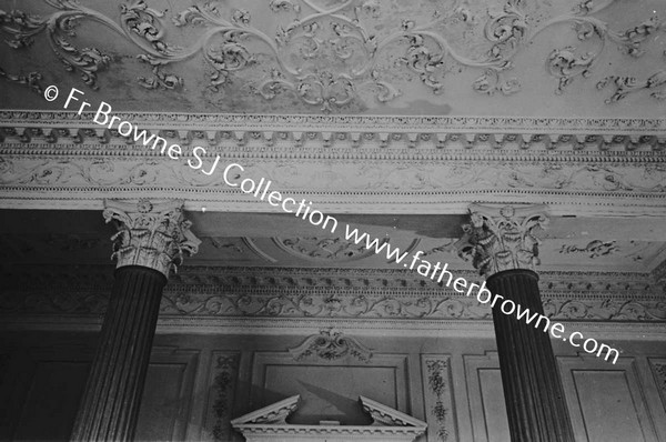 CASTLETOWN HOUSE CEILING